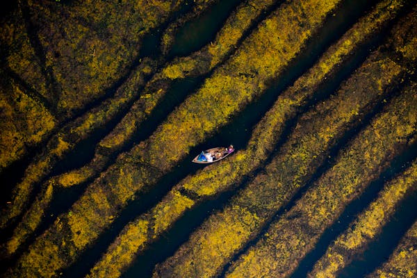 free-photo-of-an-aerial-view-of-a-boat-in-the-middle-of-a-river